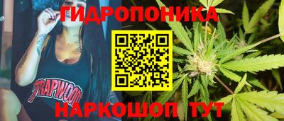 спиды Можга