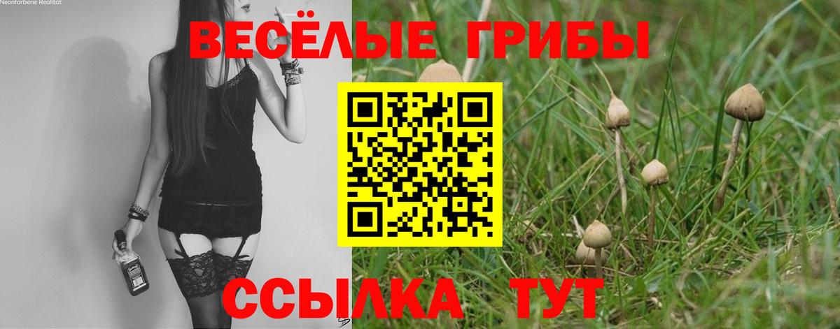 Псилоцибиновые грибы прущие грибы Гуково